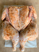 ABF Chicken Flattened, Barberian